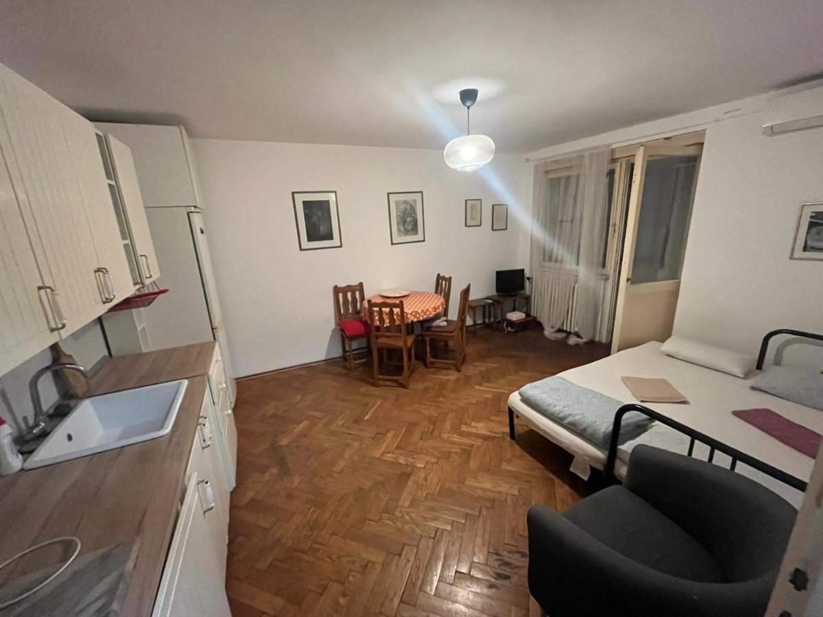 Downtown Belgrade Hostel And Apartments Zewnętrze zdjęcie