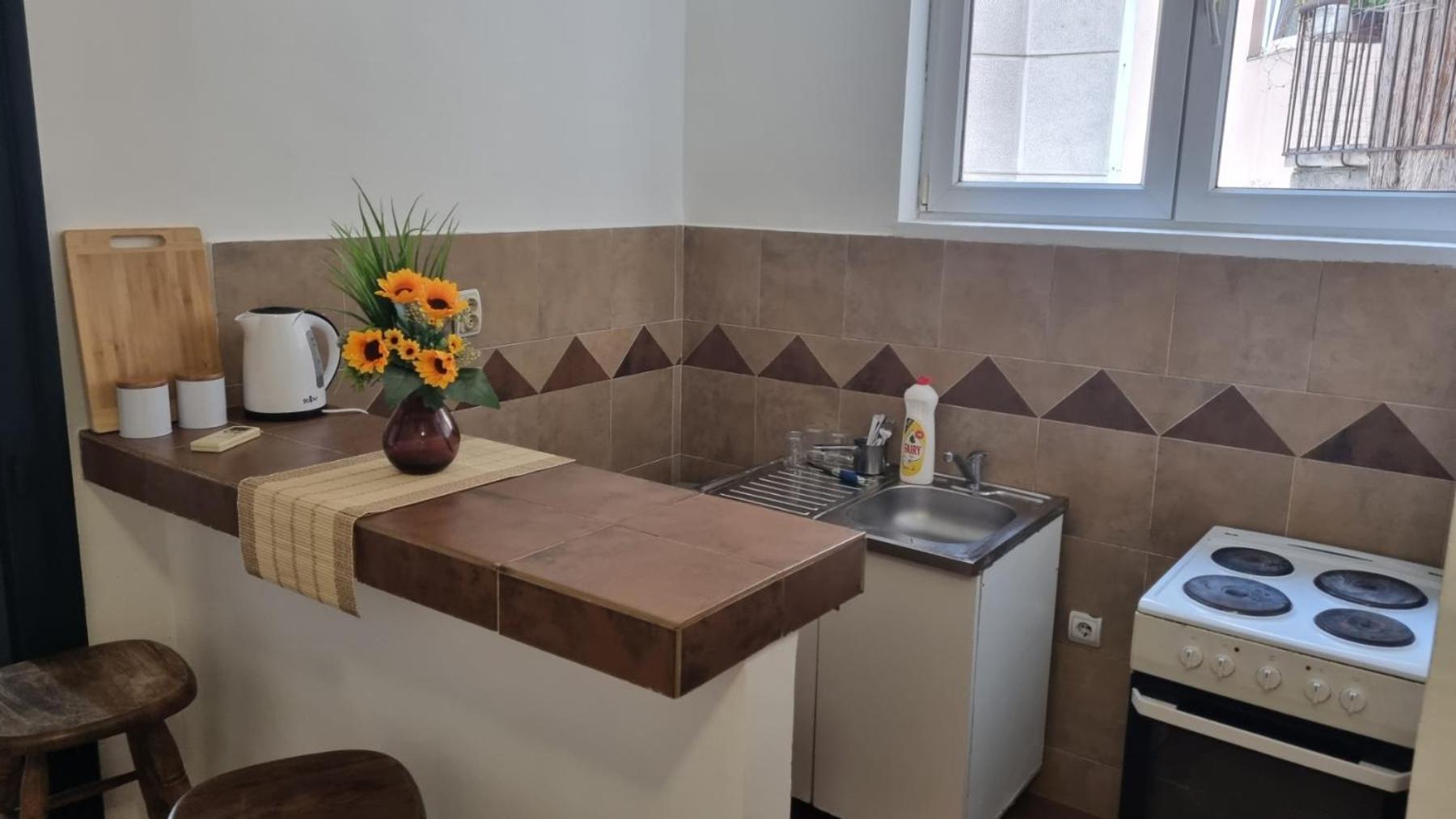 Downtown Belgrade Hostel And Apartments Zewnętrze zdjęcie